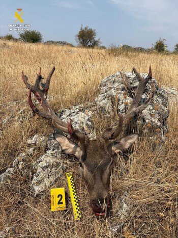 Imagen PTQURMLYFJE3FBN3BQY6CJNRU4