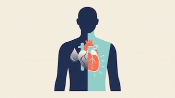 Silueta de un torso humano con un corazón dividido en dos partes: una gris con una gota y otra de color coral iluminada.
