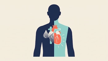 La técnica con inteligencia artificial que detecta cicatrices de infartos sin usar contraste