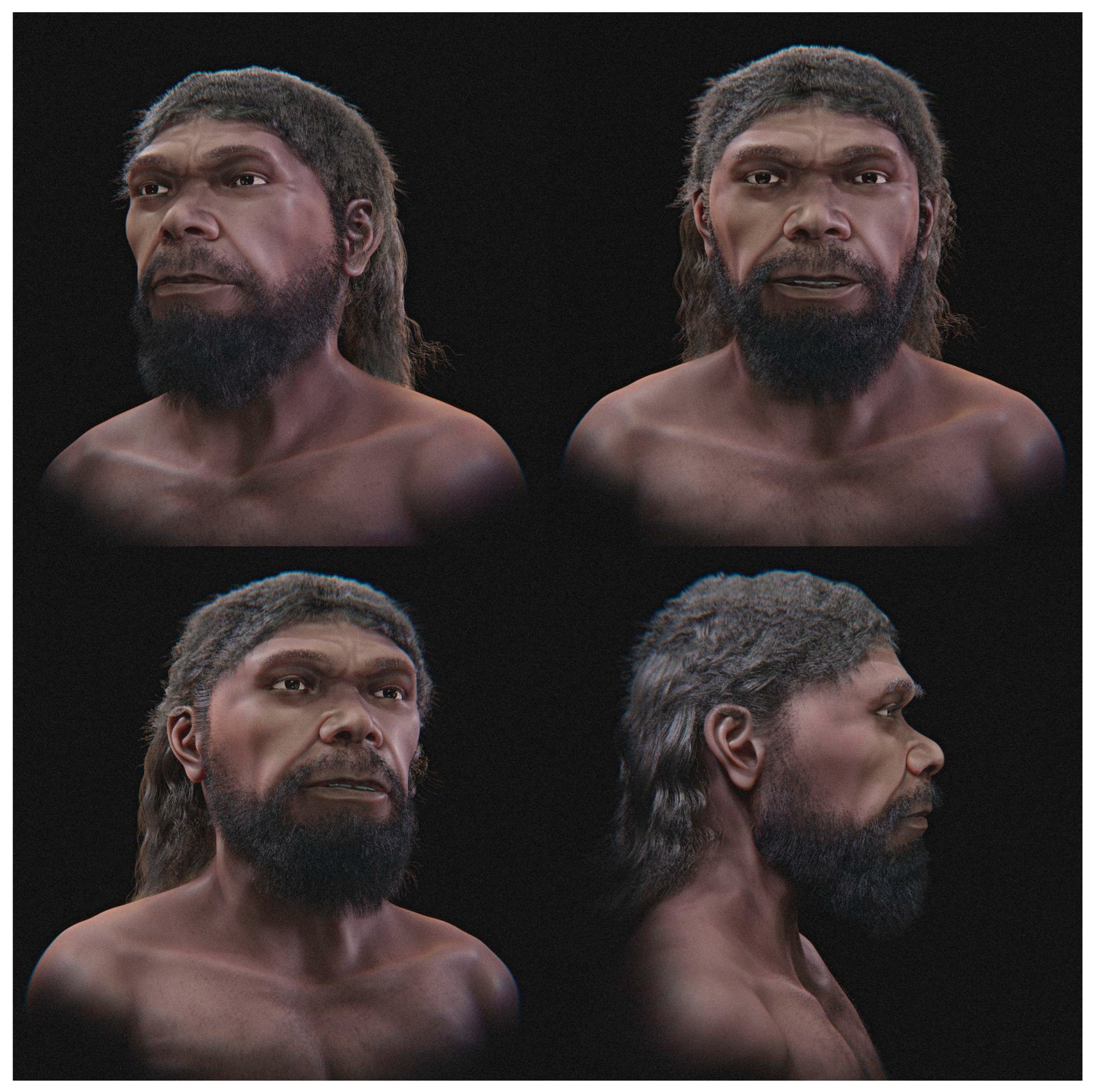 Los investigadores presentaron una versión básica del rostro en escala de grises y una opción artística con barba, cabello y pigmentación. (Moraes et al., 2026)