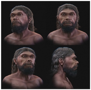 Aproximación facial digital del cráneo compuesto de Jebel Irhoud