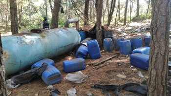 En Michoacán se han encontrado