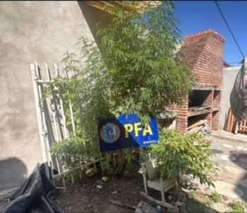 Uno de los domicilios allanados