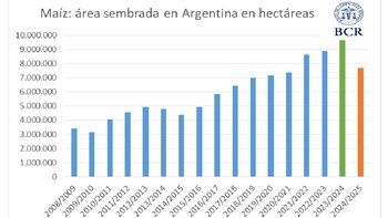 Proyectan una caída histórica del