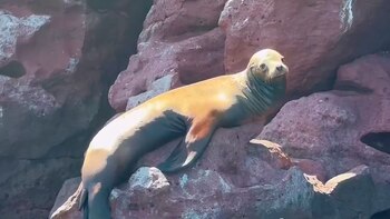 Esta es la hermosa isla