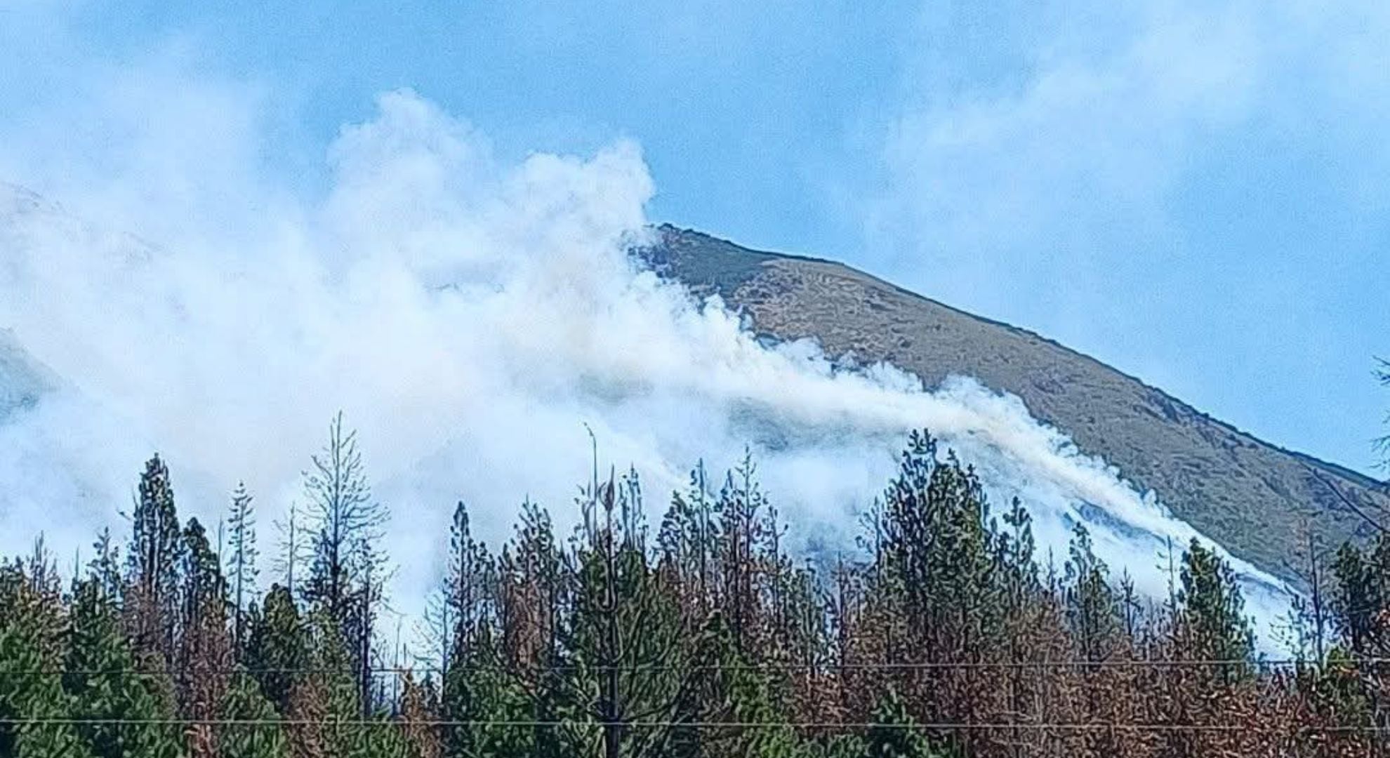 Se reportaron nuevos focos en la ladera del cerro (X: @Lula11269346)