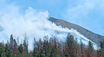 Se reportaron nuevos focos en