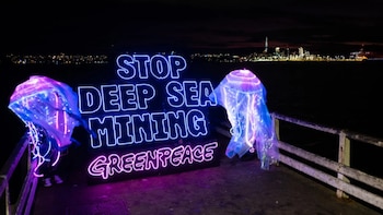 Minería submarina destruiría recursos milenarios y mataría a más de 8 mil especies que podrían nunca ser descubiertas: Greenpeace México
