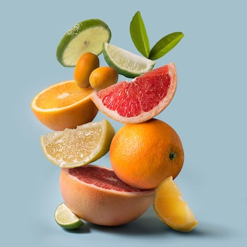 Alimentación y Comida