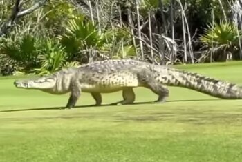 Imagen PU276ERF6FBHRHROZ3BDRF3HDQ