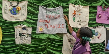 La prohibición de bolsas descartables