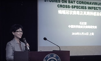 Shi Zhengli en la mayor