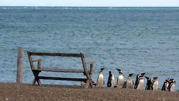 En la colonia San Lorenzo