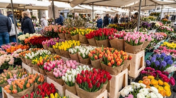 Ramos de tulipanes de varios colores envueltos en papel sobre cajas de plástico en un puesto de mercado al aire libre.