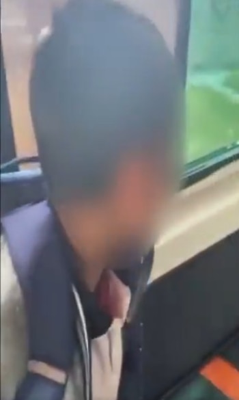 Crédito: Captura de pantalla /