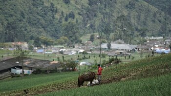 Congresistas quieren controlar la compra