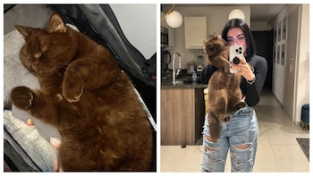 La influencer invirtió 75 mil