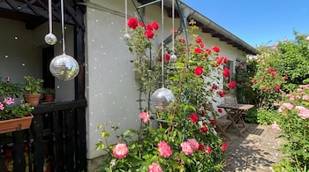 Rosales rojos y rosados, varias esferas de espejo colgantes, pared blanca de casa, balcón con macetas, mesa y sillas de madera en un jardín.