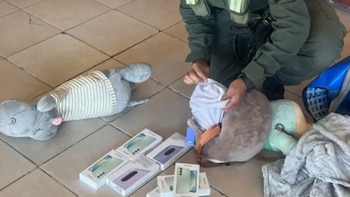 Contrabandeaban celulares ocultos dentro de peluches y fueron descubiertos por Gendarmería en Formosa