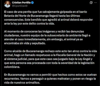 El alcalde Cristian Portilla solicitó aplicar la Ley Ángel y procesamiento judicial riguroso contra el presunto maltratador de animales - crédito @Cportilla40 / X