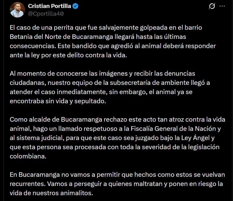 El alcalde Cristian Portilla solicitó aplicar la Ley Ángel y procesamiento judicial riguroso contra el presunto maltratador de animales - crédito @Cportilla40 / X