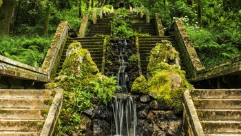 El primer bosque terapéutico de