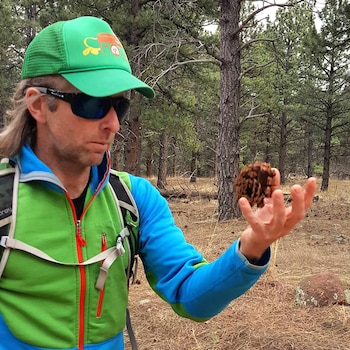 Aron Ralston, con gorra verde y gafas de sol, sostiene una piña en su mano izquierda mientras mira hacia abajo en un bosque de pinos con suelo seco