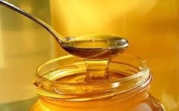 Experto recomienda almacenar miel en