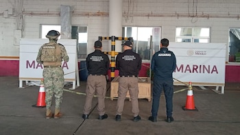 Marina incauta en Veracruz casi