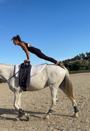 La búsqueda de paz y
