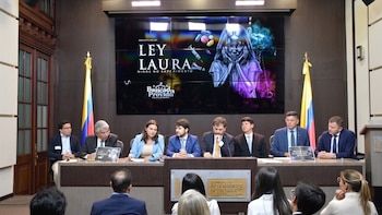 Radican el proyecto de ley “Laura: niños no experimento”, con el que busca prohibir procedimientos quirúrgicos de cambio de sexo en menores de edad - crédito @CamaraColombia/X