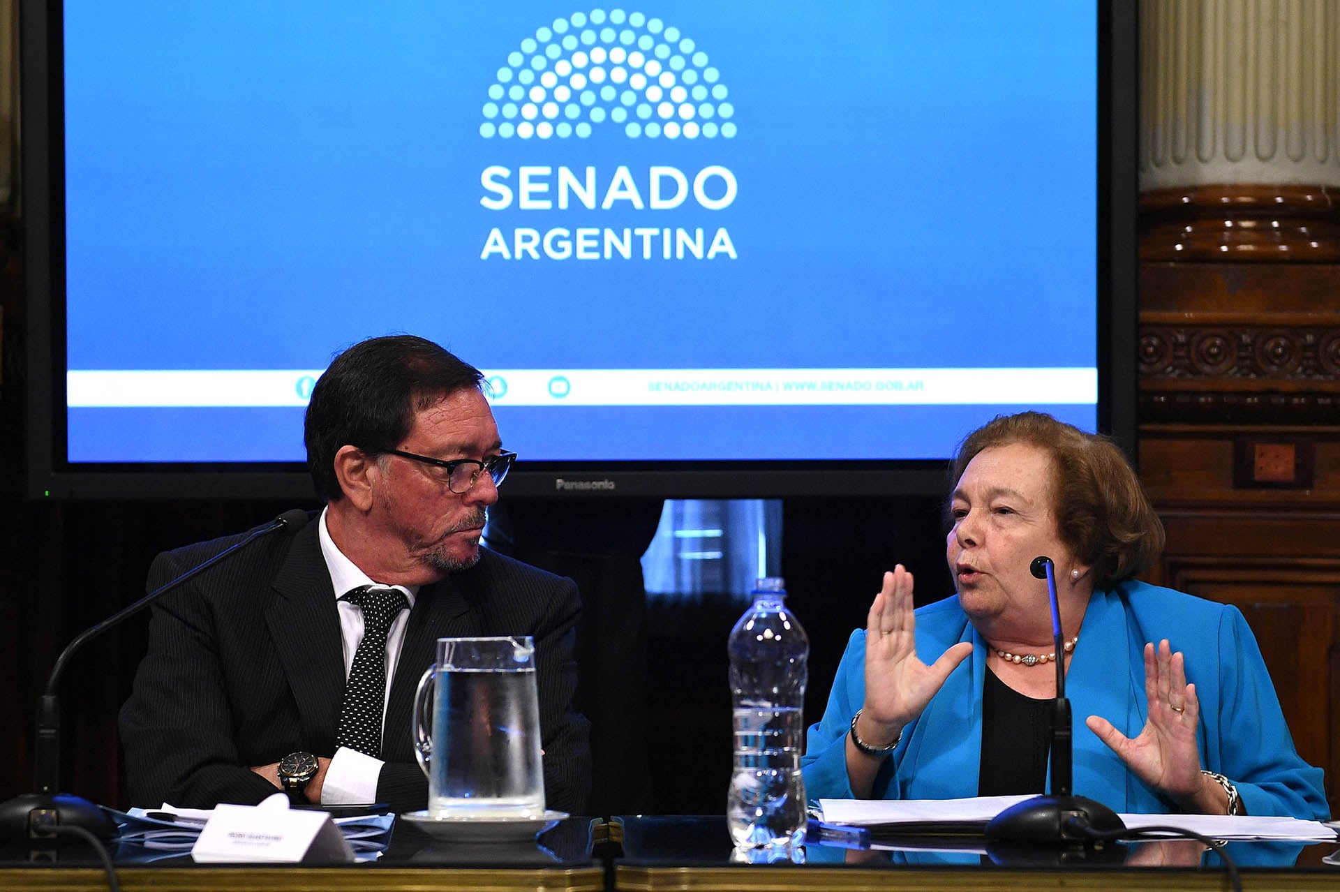 La defensora General de la Nacion, Stella Maris Martinez, dejará su cargo el 1 de febrero cuando cumpla 35 años (foto: Charly Diaz Azcue / Comunicacion Senado)