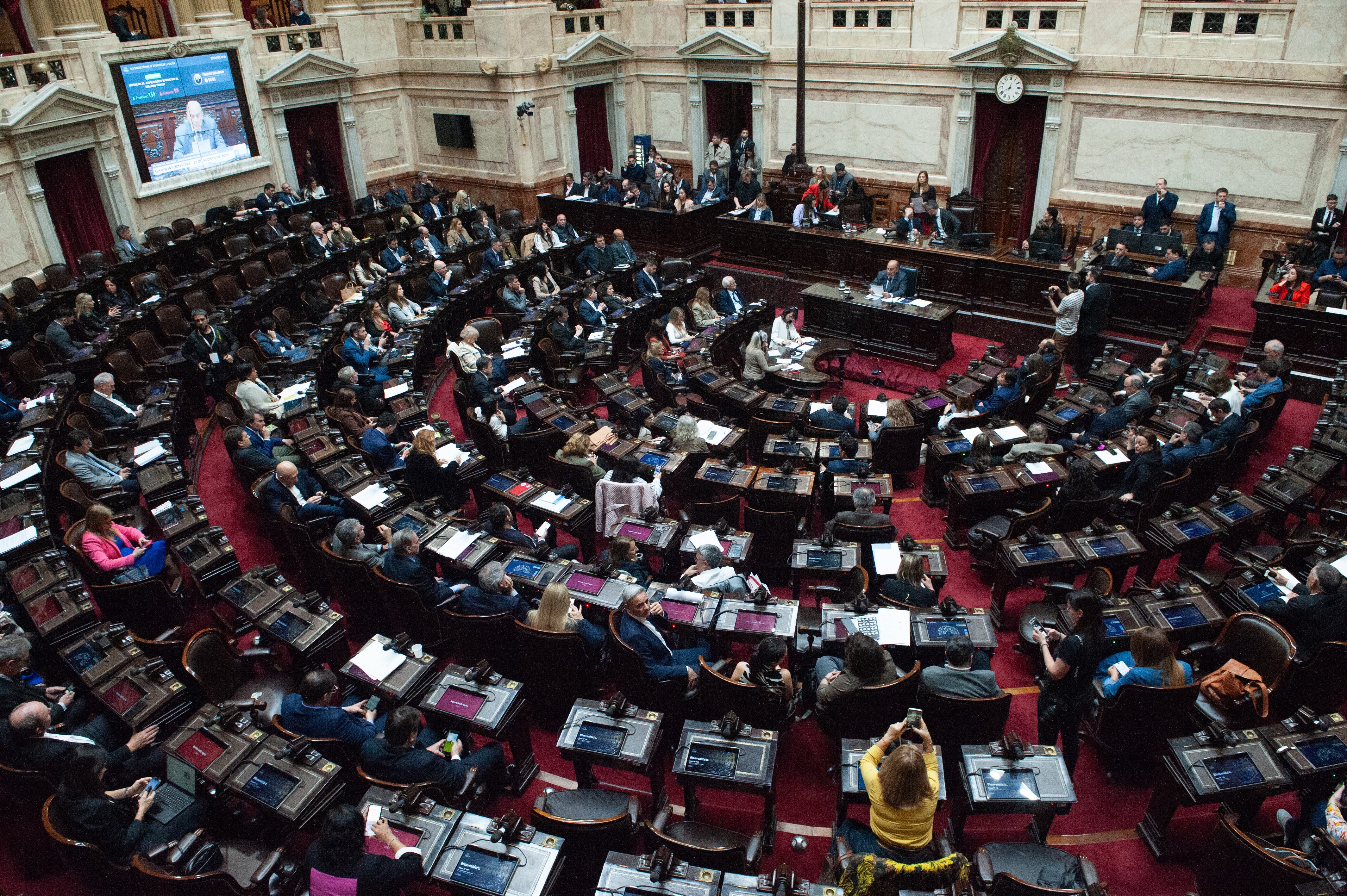 En Diputados se llevará a cabo una sesión para rechazar los vetos de Milei (Jaime Olivos)