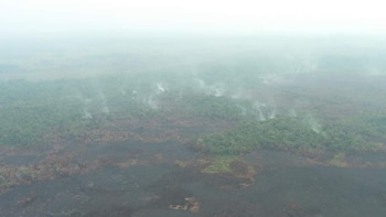 Incendio forestal en la comunidad