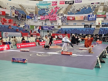 Parejas de todas las edades