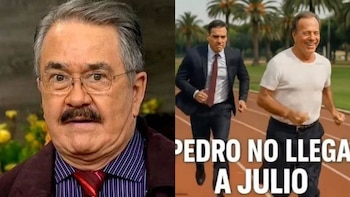 Estos son los memes que dejo el comentario de Pedro Sola que incitaba al maltrato animal