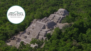 Deforestan Reserva de la Biósfera Calakmul en Campeche, Profepa clausura temporalmente la zona