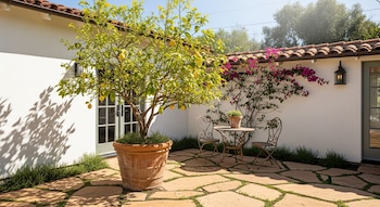 Vista de un patio soleado con un limonero Meyer en maceta grande, un juego de mesa y sillas de hierro forjado, y bougainvillea fucsia en la pared blanca.