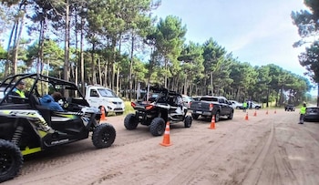 Las tareas incluyeron controles de