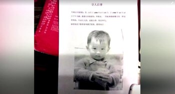 Los volantes búsqueda y la