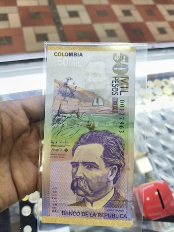 Este es un ejemplar con