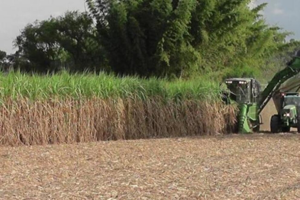 Mecanización de cañaverales en surcos estrechos: un avance hacia la sostenibilidad agrícola
