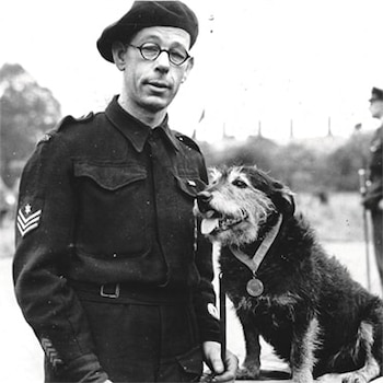 El perro Rip recibiendo la