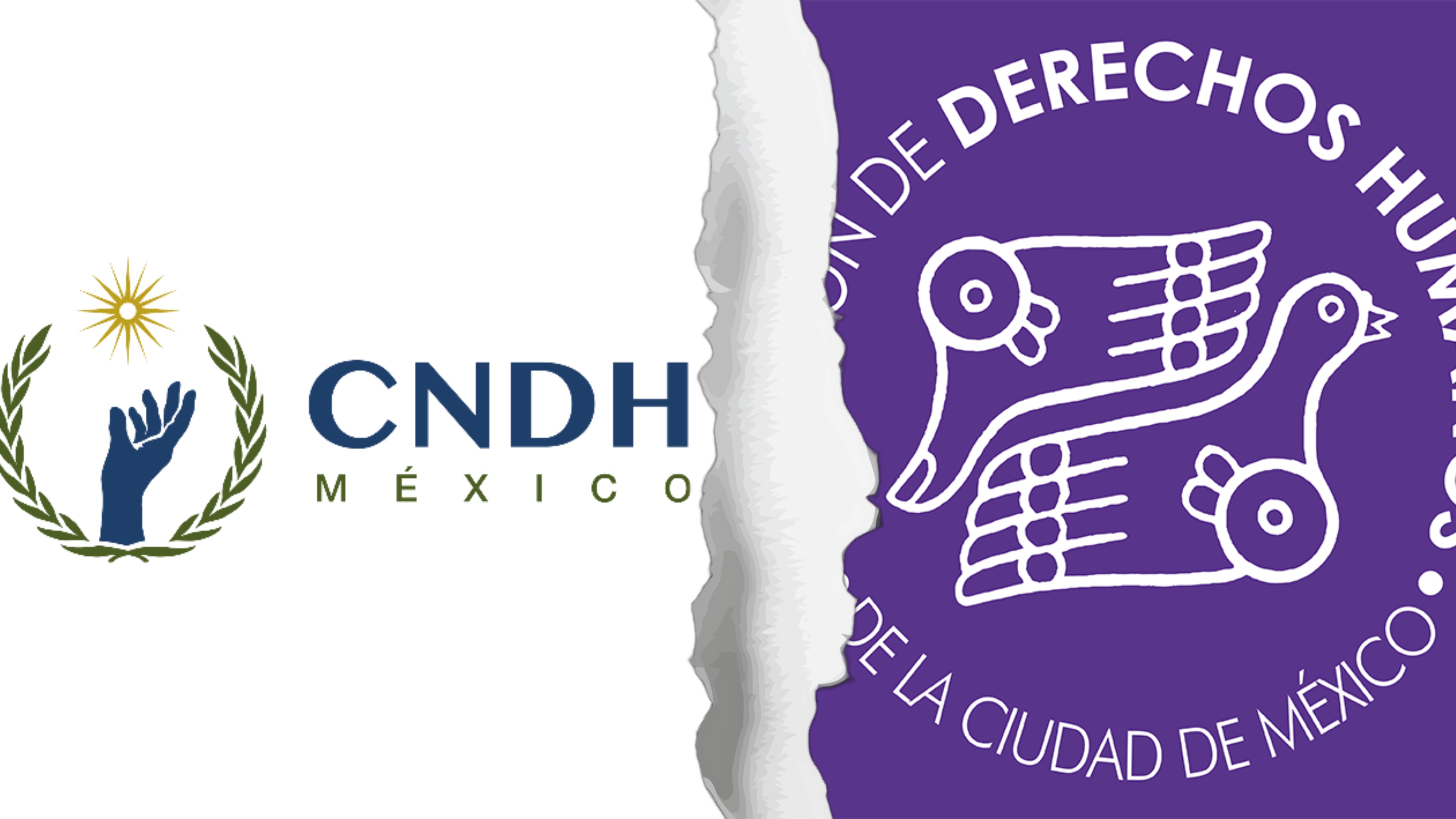 El comunicado emitido por la CNDH criticó el informe del comité y señaló falta de sustento en sus conclusiones, mientras que la CDHCM consideró la evaluación exterior como una vía posible hacia el diálogo constructivo. (Infobae-Itzallana)