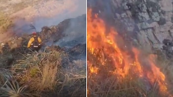 Vecinos intentaron ahuyentar a un puma con fuego y causaron un incendio que ya quemó 40 hectáreas