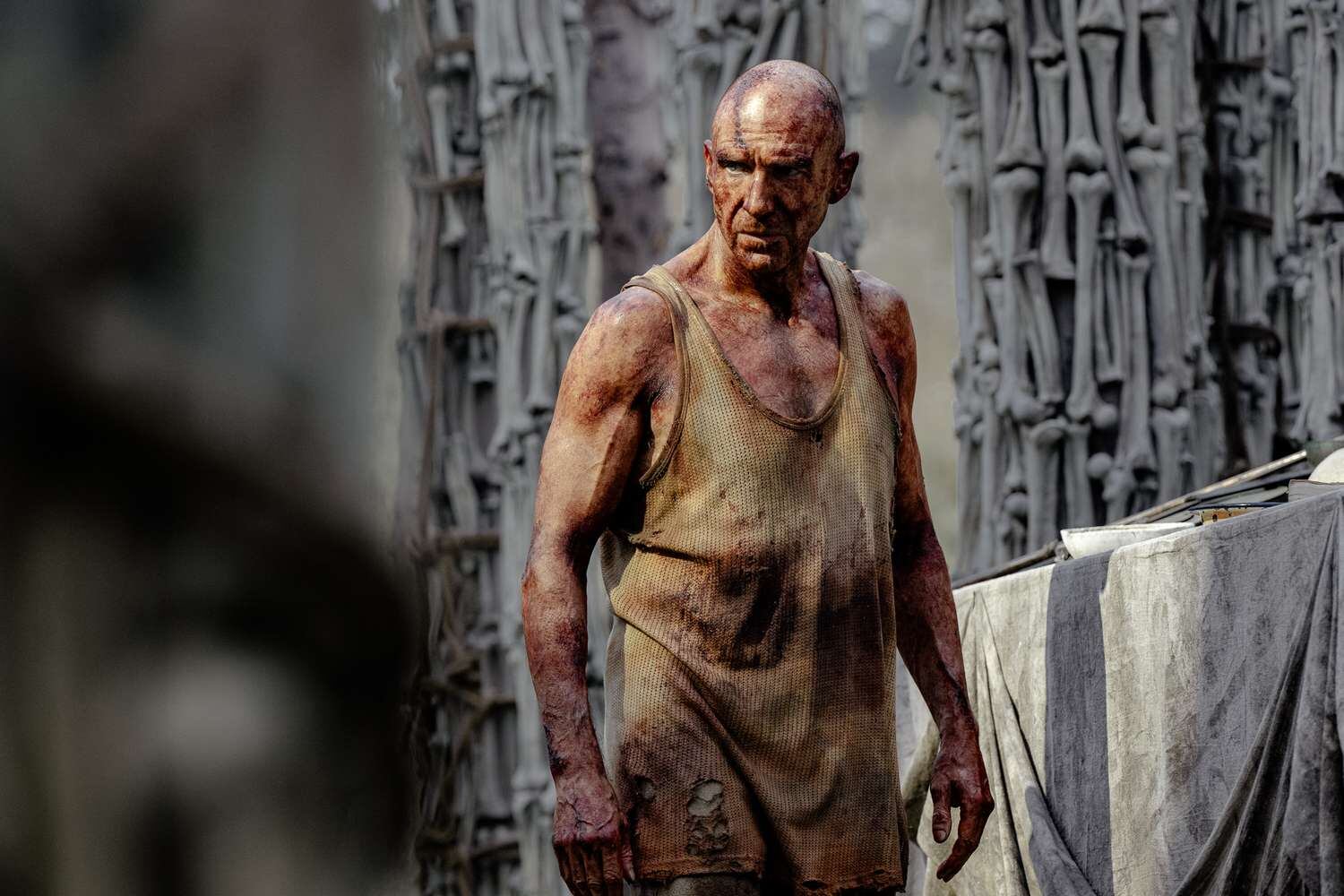 Ralph Fiennes no solo fue elogiado por su interpretación en