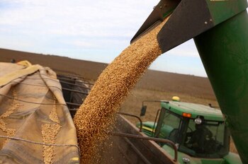 Todos los productores del planeta