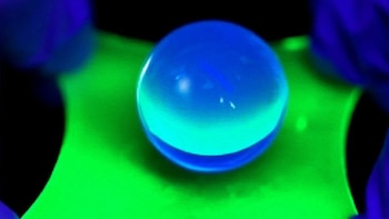 Un avance tecnológico permitió que