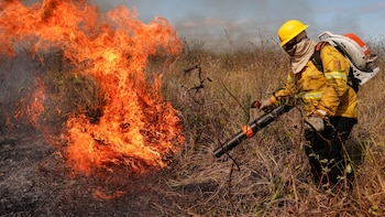 Así enfrentan Chile y Estados Unidos los incendios forestales: los modelos que Colombia podría replicar