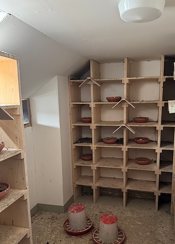 Estantería de madera dividida en compartimentos con tazones de barro en su interior y dos comederos plásticos rojos en el suelo